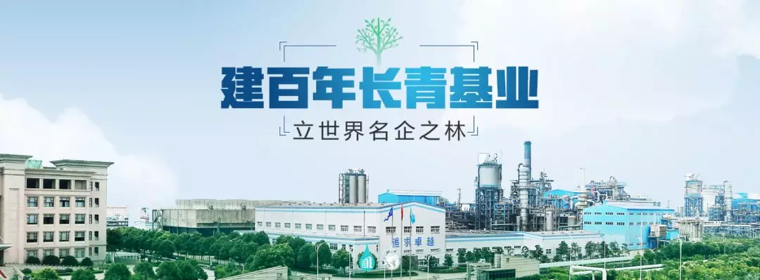 恒逸公司.png 恒逸公司.png