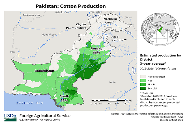 pakistan cotton.png