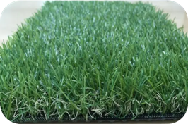 image054.png image054.png