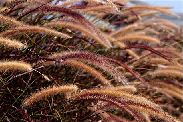 双十一叠加降温,涤丝下游发力